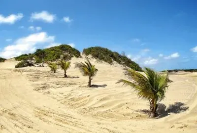 Dunas de Genipabu - BRAZIL