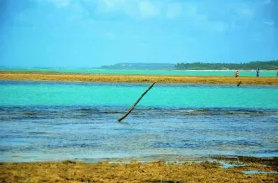 SÃ£o Miguel dos Milagres - Brazil