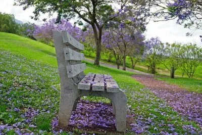 Imagem jigsaw puzzle