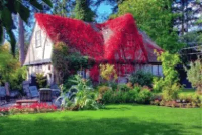 Imagem jigsaw puzzle