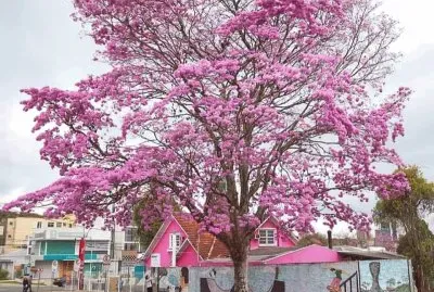 imagem jigsaw puzzle