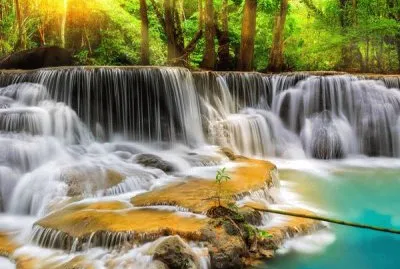 ×—×™×™× ××œ×™×¢×–×¨ ×¤×•×™×’×œ