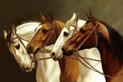 i quattro