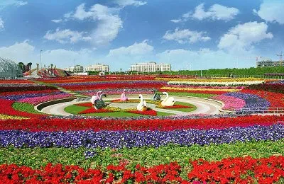 ×¤×¨×—×™× jigsaw puzzle