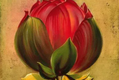 Imagem jigsaw puzzle