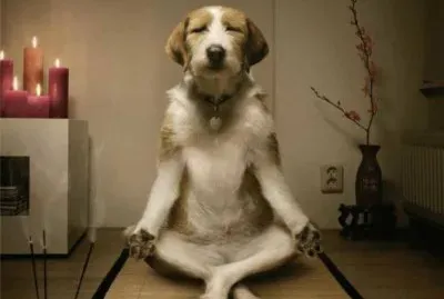 ç•«å¿ƒæƒ…