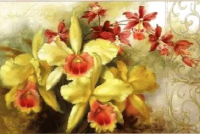 פאזל של Imagem