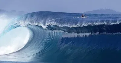 ×¦×•× ×ž×™