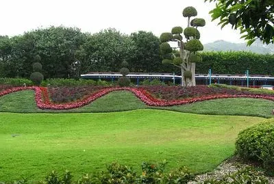 ×¤×¨×—×™×