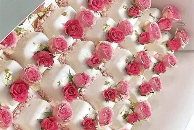 flores