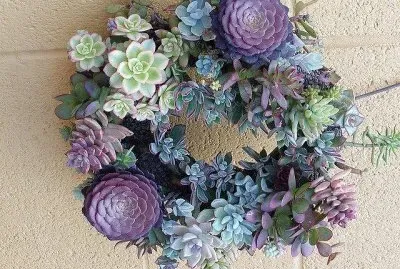 פאזל של flores