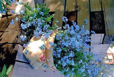 flores