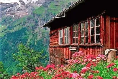 flores