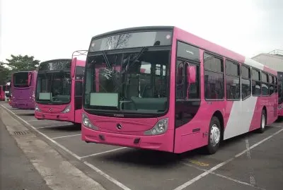 פאזל של Imagem