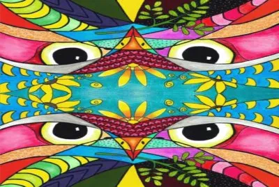 è¿·å¹»è‰²å½©