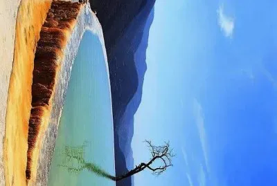 natural jigsaw puzzle