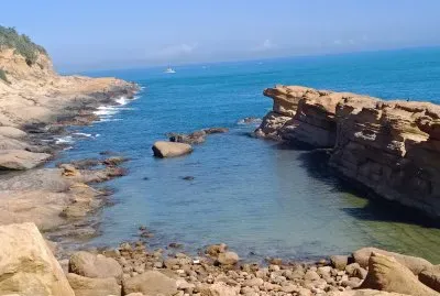 åŸºéš†é‡ŽæŸ³