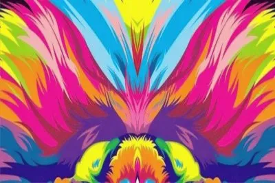 פאזל של å°ç¨±è‰²å½©