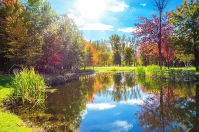 automne au canada jigsaw puzzle