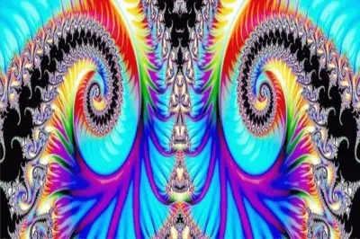 פאזל של å·¦å³å°ç¨±