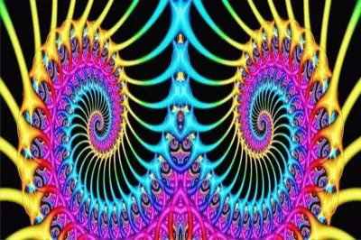 פאזל של å·¦å³å°ç¨±