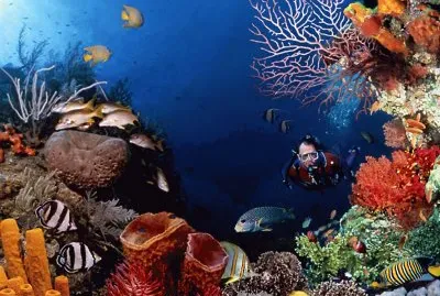 HI Kosh in SCUBA