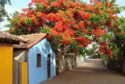 provincia jigsaw puzzle