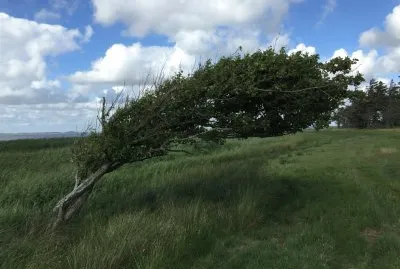 kiter