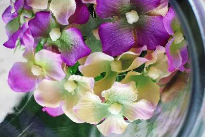 פאזל של flores