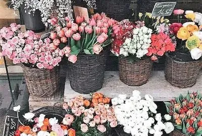 flores jigsaw puzzle