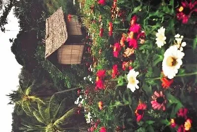 flores jigsaw puzzle