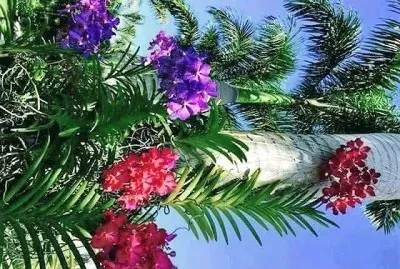 flores jigsaw puzzle