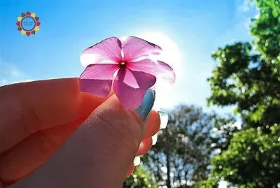 natural jigsaw puzzle