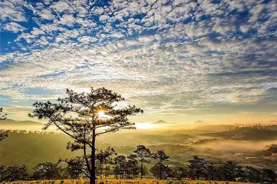 natural jigsaw puzzle