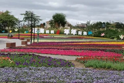 é¢¨æ™¯