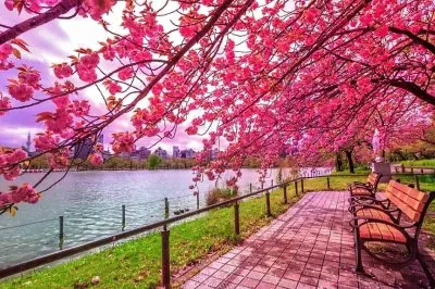 spring #209