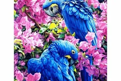 פאזל של Bird