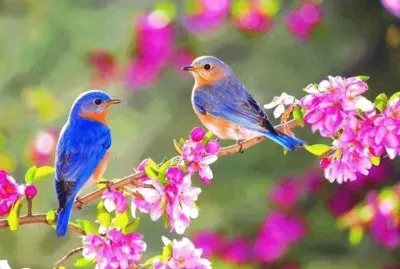 imagem jigsaw puzzle