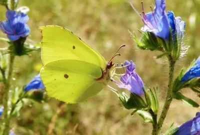 imagem jigsaw puzzle