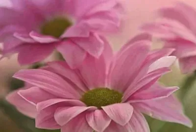 imagem jigsaw puzzle
