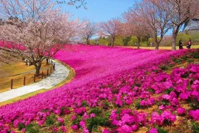 imagem jigsaw puzzle