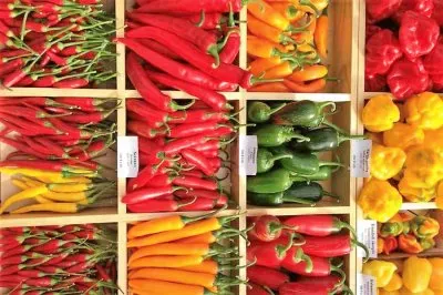 natural jigsaw puzzle