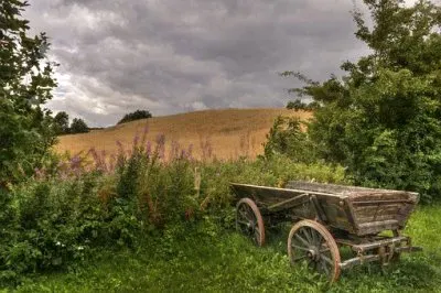 Imagem jigsaw puzzle