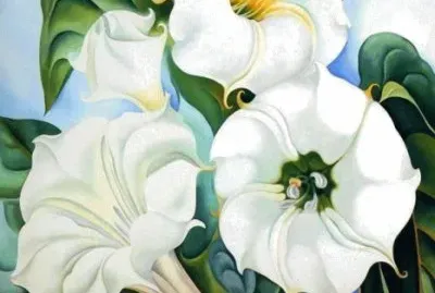 Imagem jigsaw puzzle