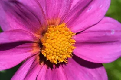 Imagem jigsaw puzzle