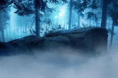 Imagem jigsaw puzzle