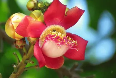maravillas de la naturaleza
