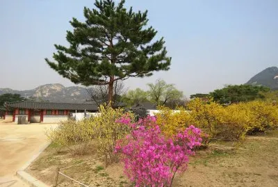 maravillas de la naturaleza