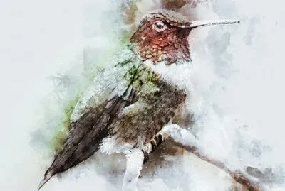 פאזל של Imagem