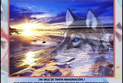 Â¡YA VALE DE TANTA IMAGINACIÃ“N.!